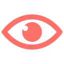 Vision Icon